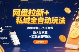 网盘拉新 私域全自动玩法，简单无脑，小白可做，当天见收益，实测单日可破k