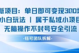 新项目单日即可变现3张的小白玩法无脑操作不封号安全引流