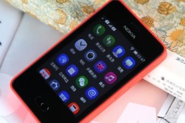 诺基亚501(诺基亚5010)