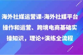 海外社媒运营课-海外社媒平台操作和运营、跨境电商基础实操知识，理论 演练全流程