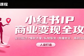小红书IP商业变现全攻略：定位跃迁 爆款流量 私域裂变 直播转化，高利润闭环搭建