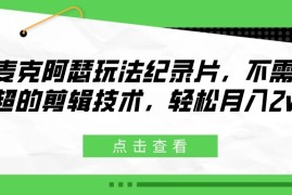 麦克阿瑟玩法纪录片，不需高超的剪辑技术，轻松月入2w 