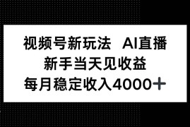 （16080期）视频号新玩法AI直播，新手小白当天见收益，月入4000 