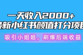 （10187期）一天收入2000 ，最新小红书颜值打分项目，吸引小姐姐，刷爆后端收益