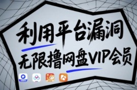 利用平台漏洞，无限撸网盘VIP会员，用户亲测有效!【漏洞原理 操作演示】
