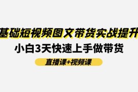 0基础短视频图文带货实战提升班，小白3天快速上手做带货(直播课 视频课)