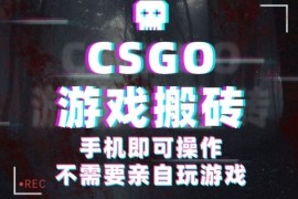 CSGO游戏挂G捡漏，单日扫货5张 ，年底小高峰上车可吃肉，手机即可操作，兼职副业创业网创【揭秘】