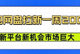 豆包网盘拉新，一周2k，新平台新机会