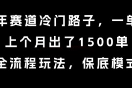 中老年赛道冷门路子，一单788，上个月出了1500单，全流程玩法，保底模式【揭秘】