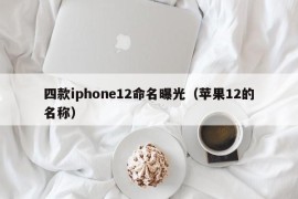 四款iphone12命名曝光（苹果12的名称）