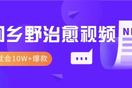 一学就会，1分钟教会你，10W 爆款田间乡野治愈视频（附提示词技巧）