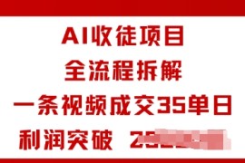 AI收徒项目全流程拆解一条视频成交35单日利润突破1k 