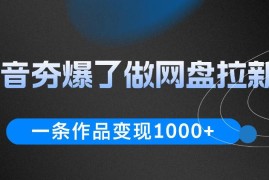 抖音夯爆了做网盘拉新，一条作品轻松10W 流量，变现1k ，看完即可上手操作