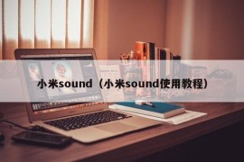 小米sound（小米sound使用教程）