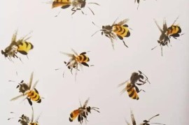 小蜜蜂手机(小黄蜂手机是什么牌子)