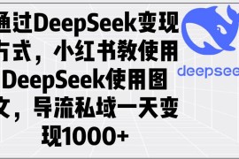 （14179期）通过DeepSeek变现方式，小红书教使用DeepSeek图文，导流私域一天变现1000 