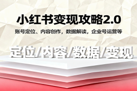 小红书变现攻略2.0：账号定位、内容创作，数据解读，企业号运营等
