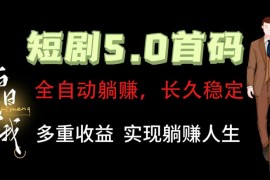 全自动元点短剧掘金分红项目，正规公司，管道收益无上限！轻松日入300 