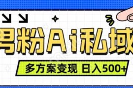 男粉项目，Ai图片转视频，多种方式变现，日入500 