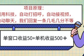 （11722期）ai语聊，单窗口收益50 ，单机收益500 ，无脑挂机无脑干！！！