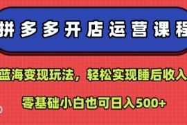拼多多开店运营课程：蓝海变现玩法，轻松实现睡后收入，零基础小白也可日入5张