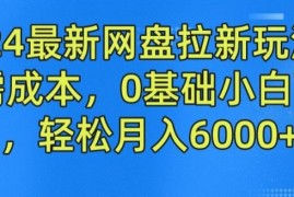 2024最新网盘拉新玩法，无需成本，0基础小白可做，轻松月入6000 【揭秘】
