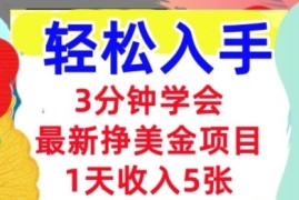 最新挣美金项目，日入5张，3分钟学会，小白轻松入手（长久的被动收入）