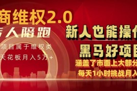 电商维权 4.0 如何做到月入 5 万 每天 1 小时新人也能快速上手【仅揭秘】