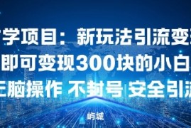 玄学项目：新玩法引流变现单日即可变现3张的小白玩法无脑操作不封号安全引流