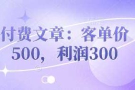 付费文章：客单价500，利润300