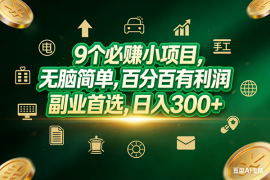 （17556期）9个必赚小项目，无脑简单，百分百有利润，副业首选，日入200 
