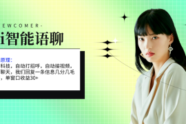 （11383期）ai智能语聊，单窗口30 单机500 ，无脑干！！！