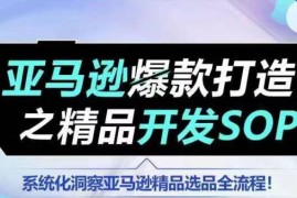 【训练营】亚马逊爆款打造之精品开发SOP，系统化洞察亚马逊精品选品全流程