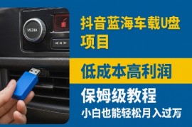 抖音蓝海车载U盘项目，低成本高利润保姆级教程，小白也能轻松月入过W