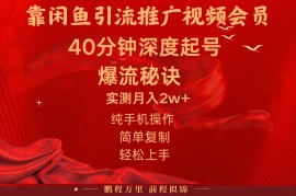 （10896期）闲鱼暴力引流推广视频会员，能做到日入2W ，操作简单