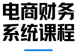 郑老师·电商财务系统课程