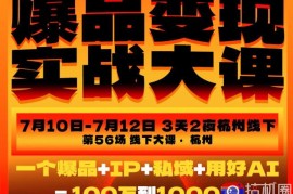 爆品变现实战大课，从爆品，到流量，到成交，一个爆品 IP 私域 用好AI=100W到1000W(7月10-12日)