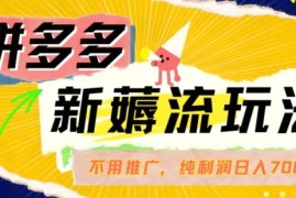 拼多多最新薅流玩法，无需开车推广，纯靠自然流吃饭-单纯赚50 利润，日入700 【揭秘】