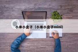 小米小盒子（小米小盒子mini）