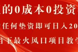 （11387期）真正的0成本0投资项目，无需任何垫资即可日入2000 ，当下最火风口项目教学