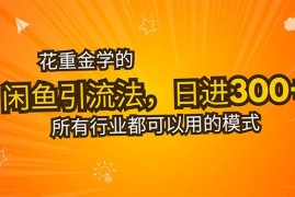 （15545期）花重金学的闲鱼引流法，日引流300 创业粉，看完这节课瞬间不想上班了