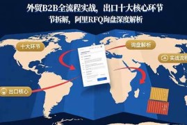 （15806期）外贸B2B全流程实战，出口十大核心环节拆解，阿里RFQ询盘深度解析