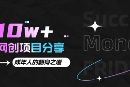 月入十万 的网创项目分享，成年人的最快翻身之道