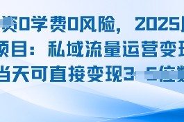 0学费0风险，2025风口项目：私域流量运营变现，当天可直接变现