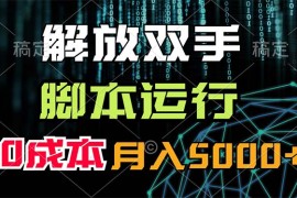 （11721期）解放双手，脚本运行，0成本月入5000 