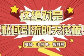 最新首发全平台引流玩法，公域引流私域玩法，轻松获客500 ，附引流脚本，克隆截流自热玩法【揭秘】