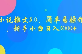 小说推文5.0，简单易操作，新手小白日入3000 