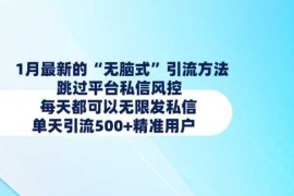 1月最新的无脑式引流方法，跳过平台私信风控，每天都可以无限发私信，单天引流500 精准用户