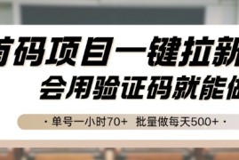 首码项目一键拉新，会用验证码就能做 单号一小时70 ，批量做每天5张【揭秘】