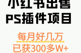 小红书出售PS插件项目，每月都收入好几万，长期操作已获利300多W 